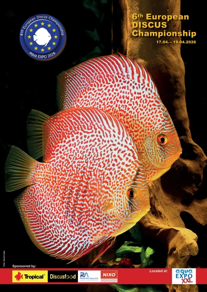 6th European Discus Championship | Discus.czDiscus.cz