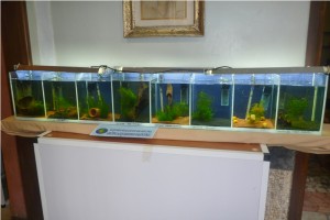 5th MEDITERRANEA DISCUS