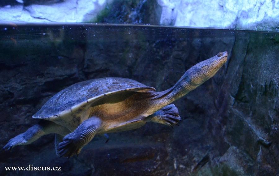 Kuala Lumpur Aquarium