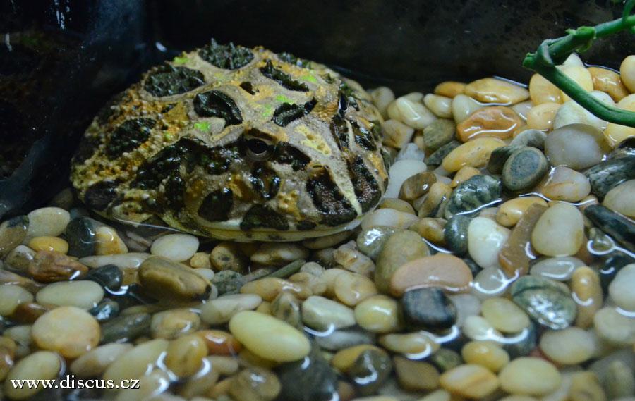 Kuala Lumpur Aquarium