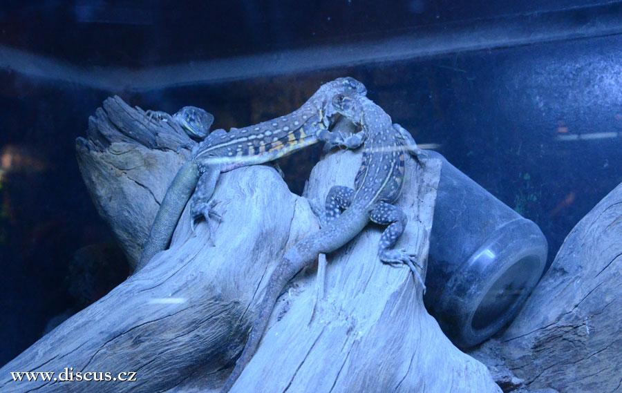 Kuala Lumpur Aquarium