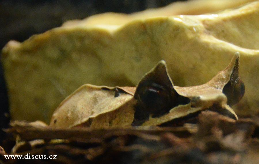 Kuala Lumpur Aquarium