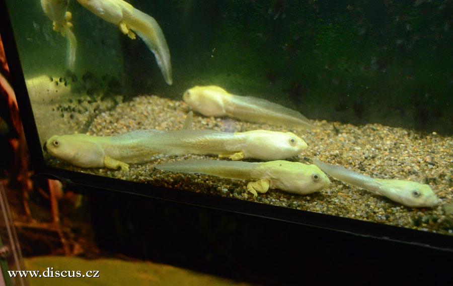 Kuala Lumpur Aquarium