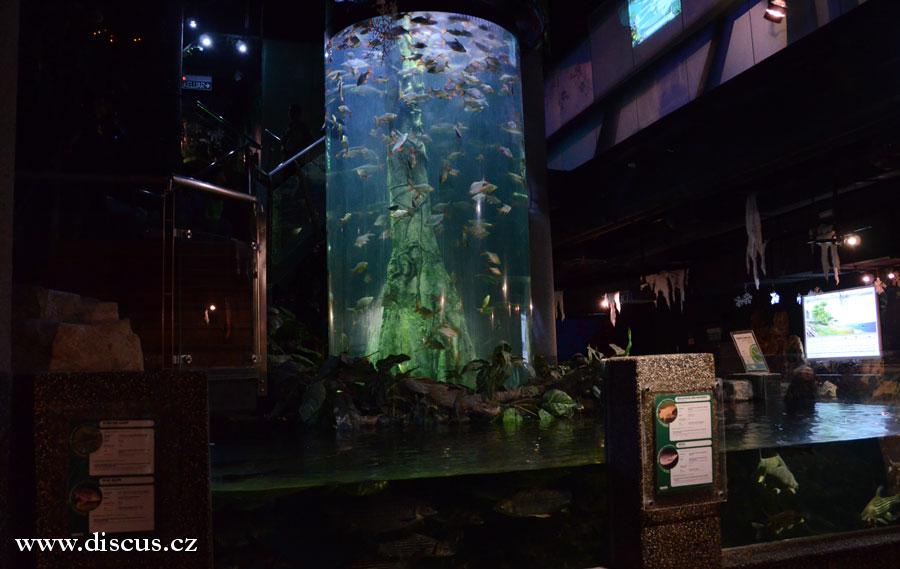 Kuala Lumpur Aquarium
