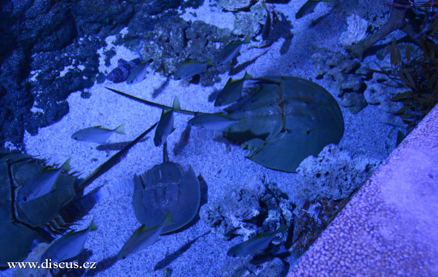 Kuala Lumpur Aquarium