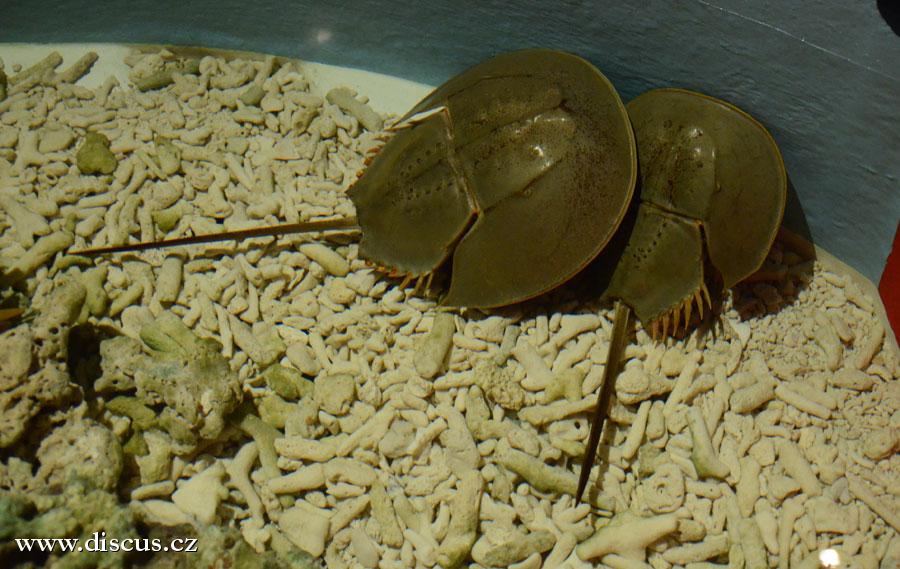 Kuala Lumpur Aquarium