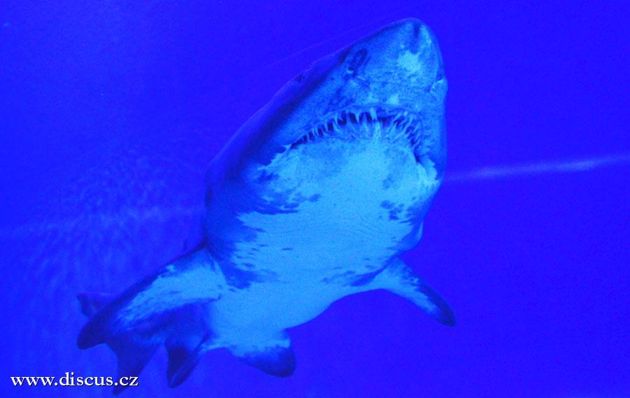 Kuala Lumpur Aquarium