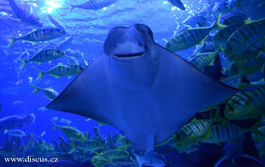 Kuala Lumpur Aquarium