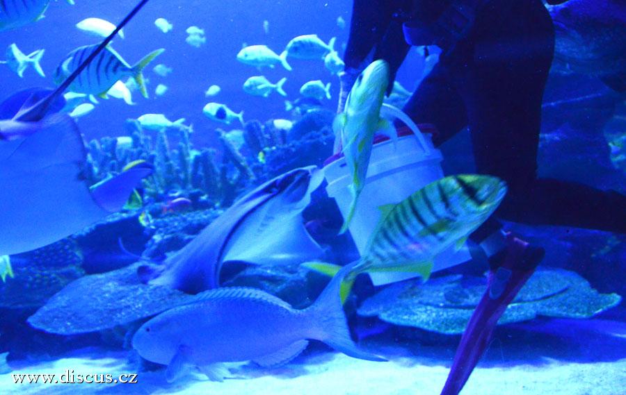 Kuala Lumpur Aquarium