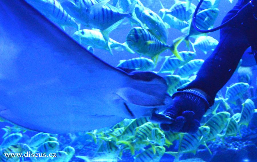 Kuala Lumpur Aquarium