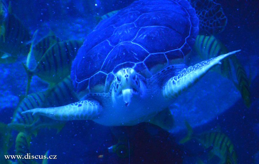 Kuala Lumpur Aquarium