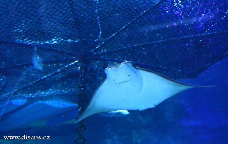 Kuala Lumpur Aquarium