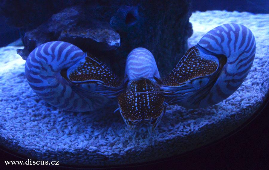 Kuala Lumpur Aquarium