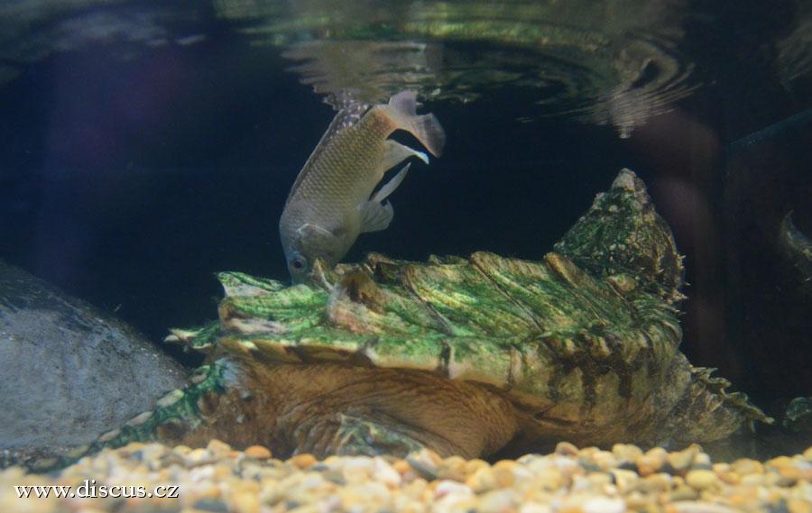 Kuala Lumpur Aquarium