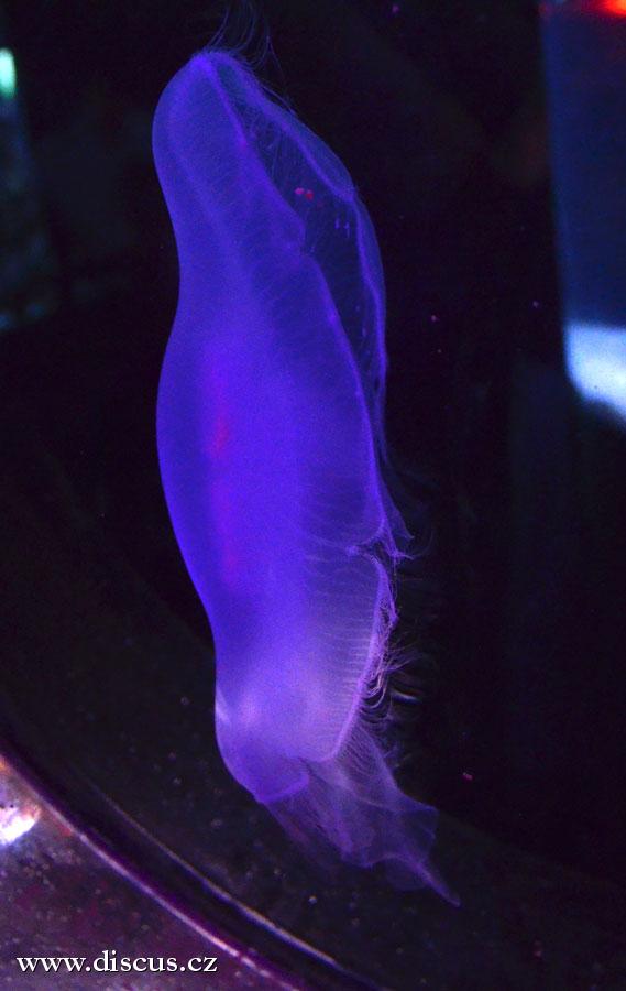 Kuala Lumpur Aquarium