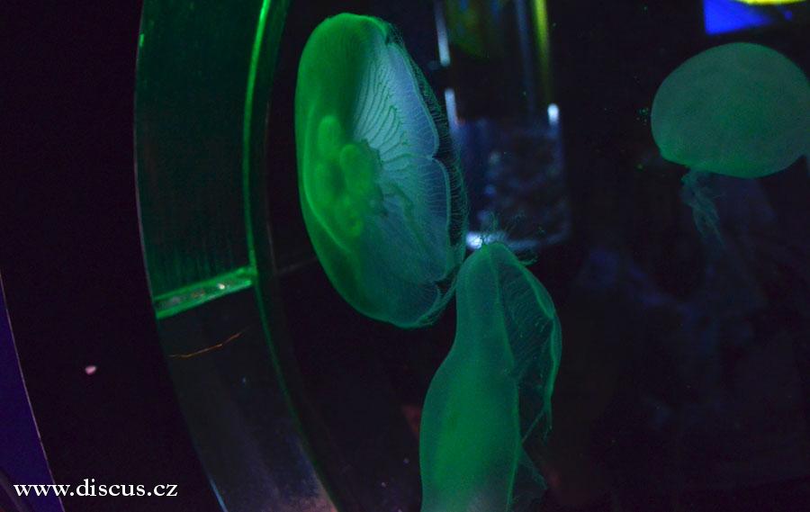 Kuala Lumpur Aquarium