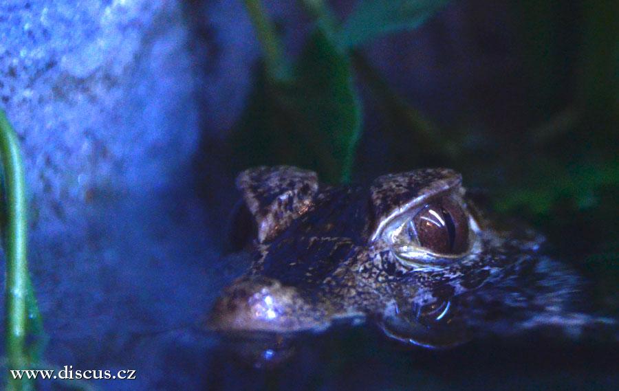 Kuala Lumpur Aquarium