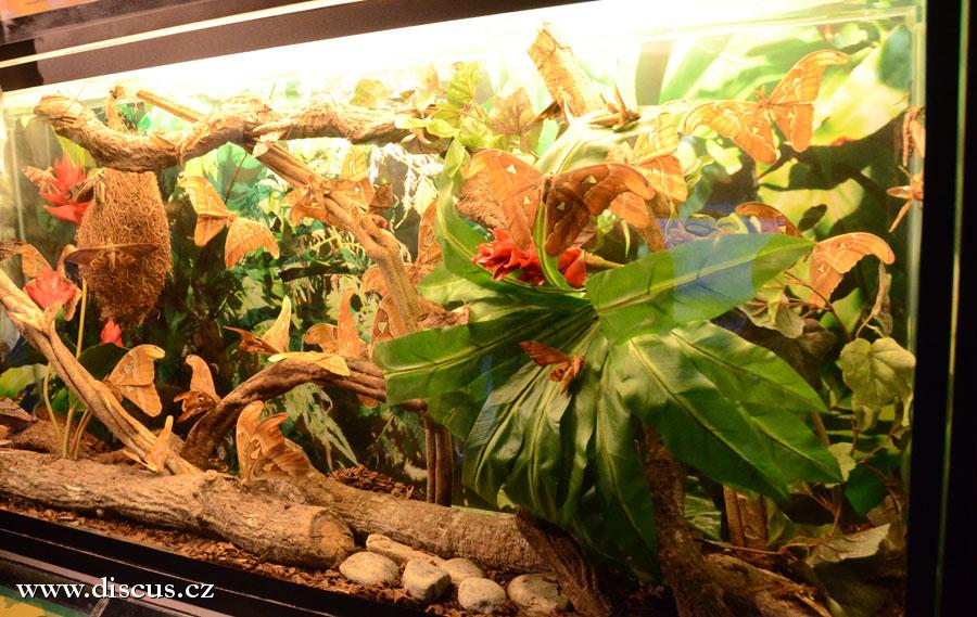 Kuala Lumpur Aquarium