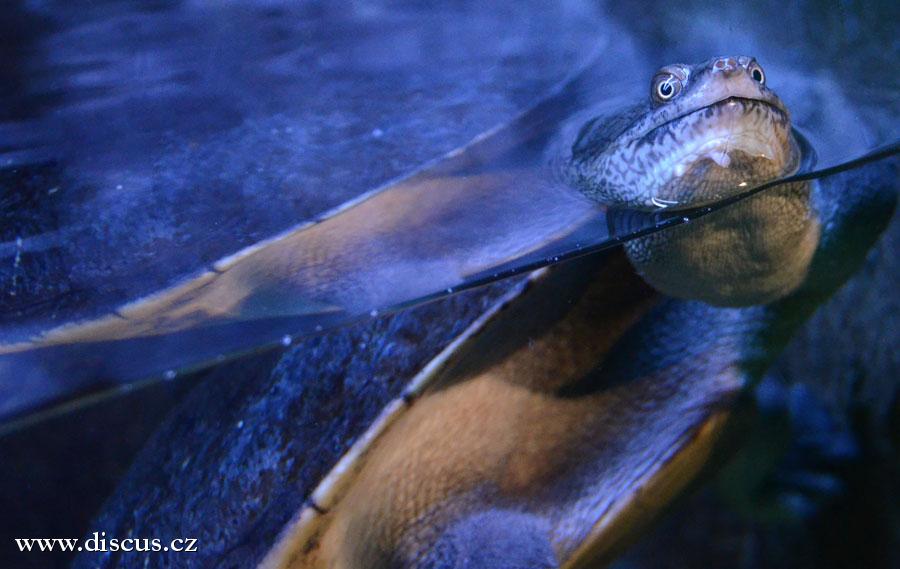 Kuala Lumpur Aquarium