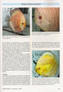 Českým šampionátem terčovců 2009