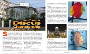 Českým šampionátem terčovců 2009