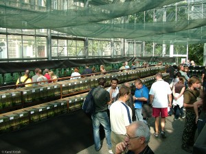 Českým šampionátem terčovců 2009